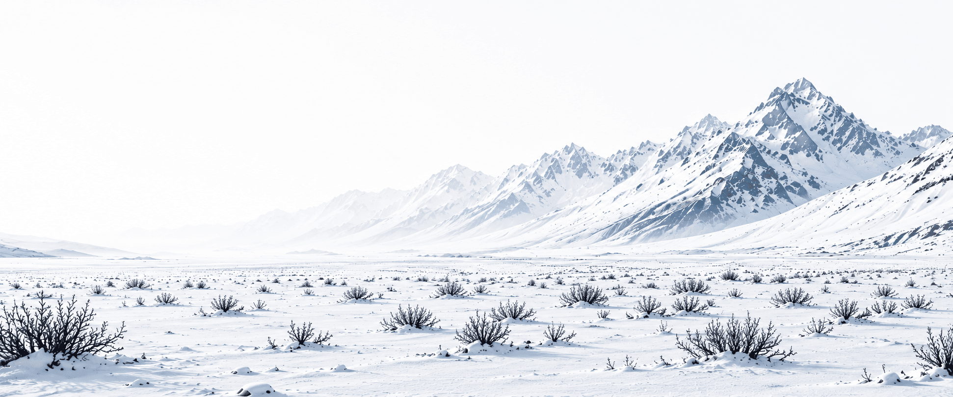 A bright snow field with distant arctic mountains